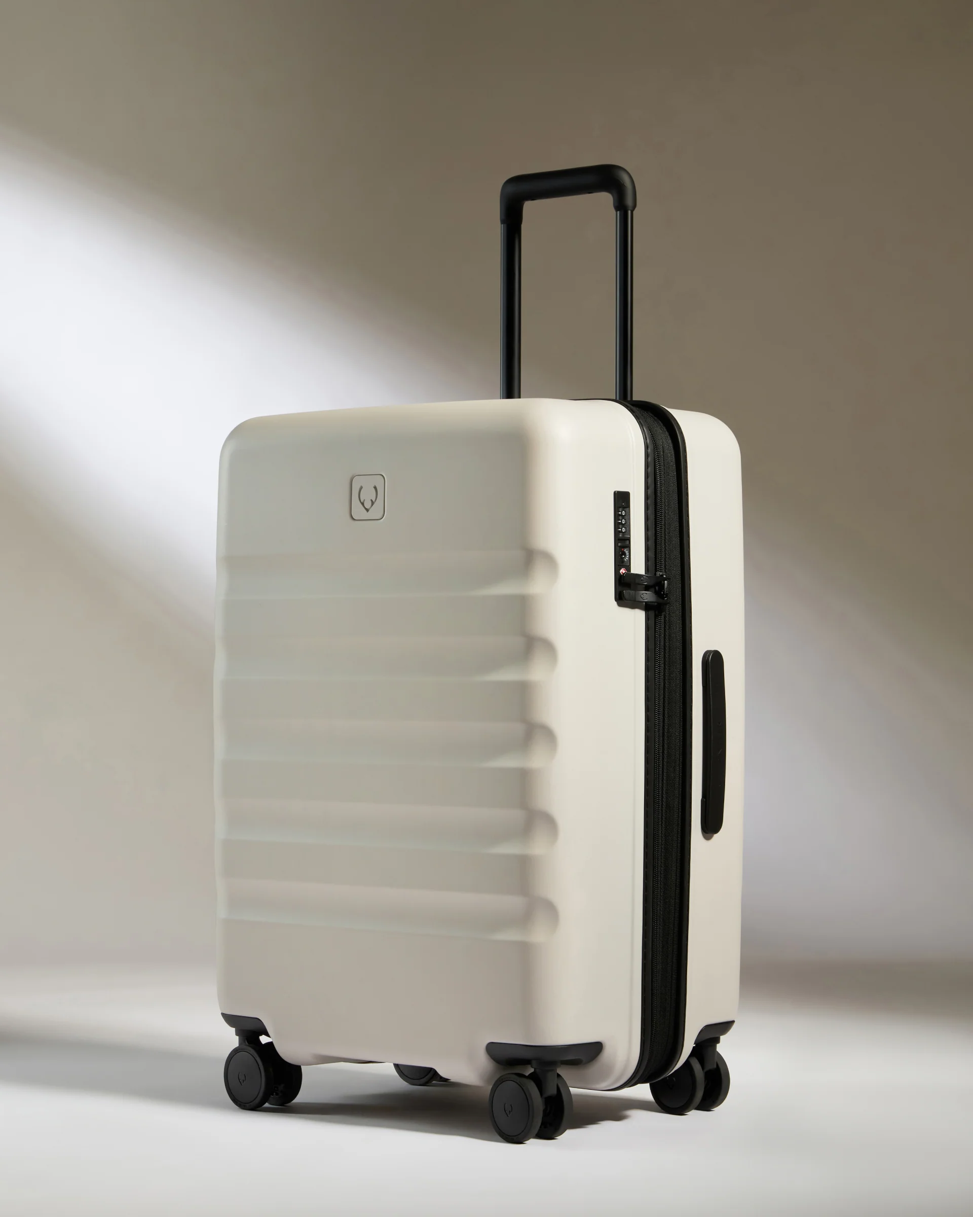 Suitcase Set in Taupe - Icon Stripe - Image 4